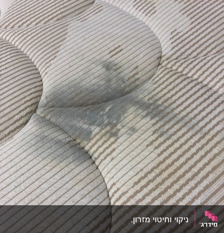 כתם כהה על מזרן עם פסים חומים